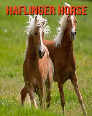 Book cover for Haflinger Horse