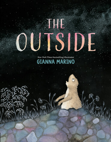 Book cover for The Outside