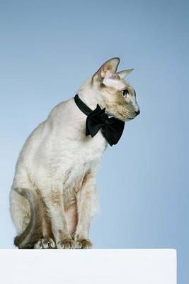 Cover of Peterbald Cat Journal "Bow Ties Are Cool."