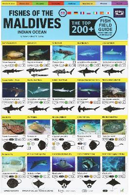 Book cover for Maldives Fish Field Guide "Top 200+"