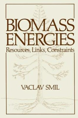 Cover of Biomass Energies