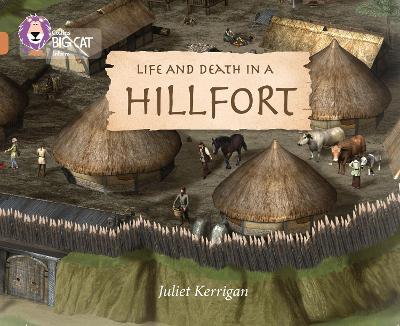 Book cover for Life and Death in an Iron Age Hill Fort