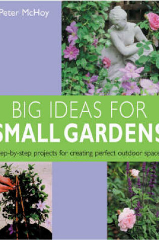 Cover of Big Ideas for Small Gardens