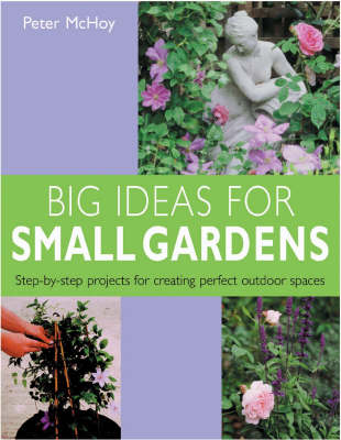 Book cover for Big Ideas for Small Gardens