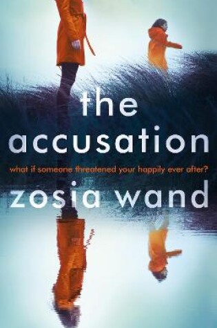 Cover of The Accusation