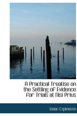 Cover of A Practical Treatise on the Settling of Evidence for Trials at Nisi Prius