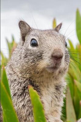 Book cover for Did Somebody Say Nuts? Squirrel Journal