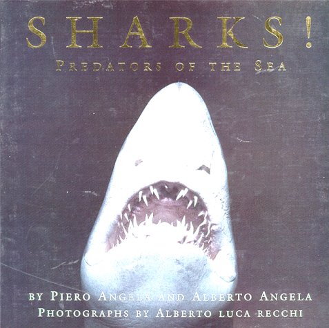 Book cover for Sharks!