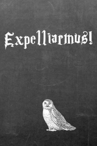 Cover of Expelliarmus!