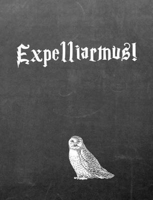 Book cover for Expelliarmus!