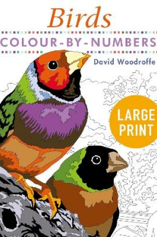 Cover of Large Print Colour by Numbers Birds