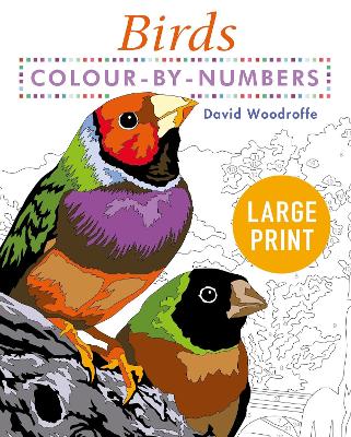 Book cover for Large Print Colour by Numbers Birds