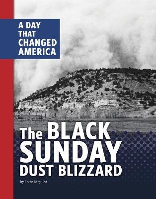 Book cover for The Black Sunday Dust Blizzard