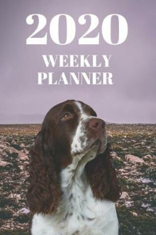 Cover of 2020 Weekly Planner - Welsh Springer Spaniel