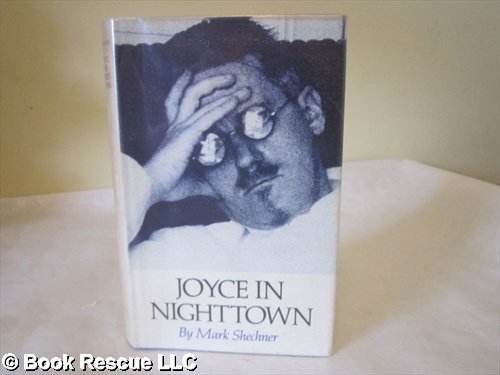 Book cover for Joyce in Nighttime