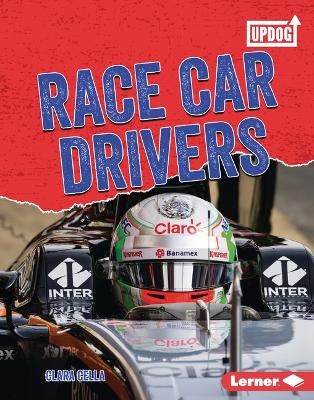 Book cover for Race Car Drivers