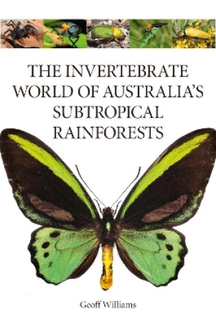 Cover of The Invertebrate World of Australia's Subtropical Rainforests