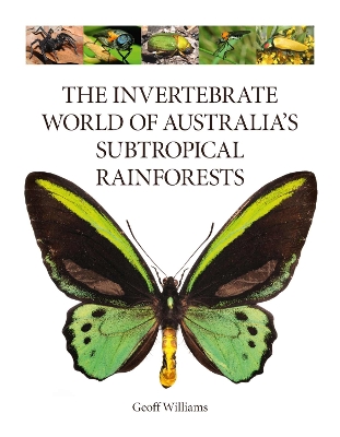 Book cover for The Invertebrate World of Australia's Subtropical Rainforests