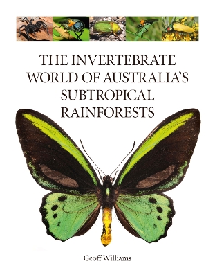 Book cover for The Invertebrate World of Australia’s  Subtropical Rainforests