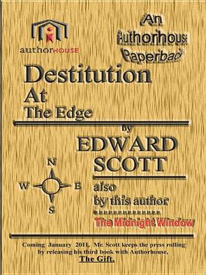 Book cover for Destitution at the Edge