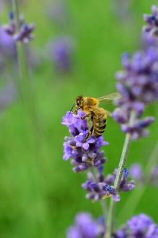 Cover of Lavender Flowers and a Bee Journal