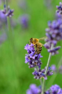 Book cover for Lavender Flowers and a Bee Journal