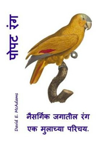 Cover of Popata ranga