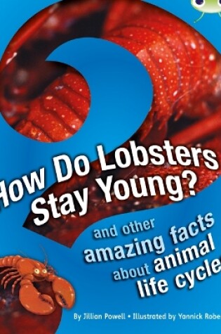 Cover of Bug Club Independent Non Fiction Year 3 Brown A How Do Lobsters Stay Young?