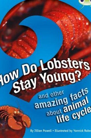 Cover of Bug Club Independent Non Fiction Year 3 Brown A How Do Lobsters Stay Young?