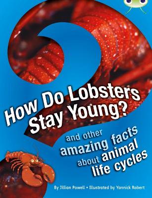 Cover of Bug Club Independent Non Fiction Year 3 Brown A How Do Lobsters Stay Young?