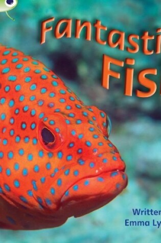 Cover of Bug Club Phonics - Phase 4 Unit 12: Fantastic Fish