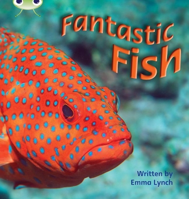 Book cover for Bug Club Phonics - Phase 4 Unit 12: Fantastic Fish