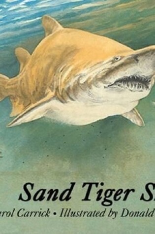 Cover of Sand Tiger Shark