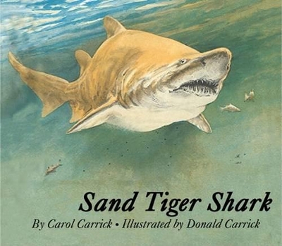 Book cover for Sand Tiger Shark