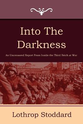 Book cover for Into the Darkness