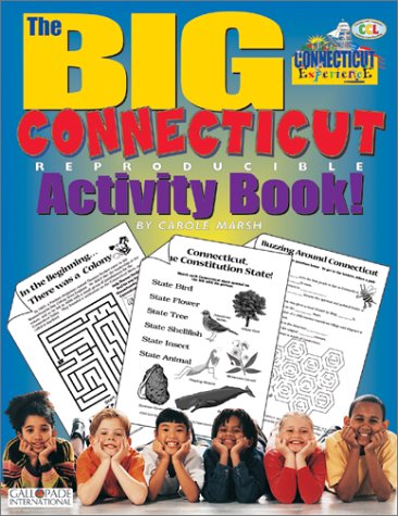 Book cover for The Big Connecticut Activity Book!