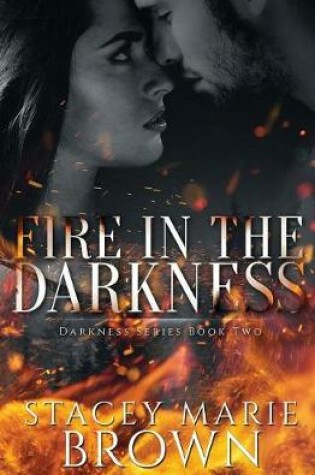 Cover of Fire in the Darkness