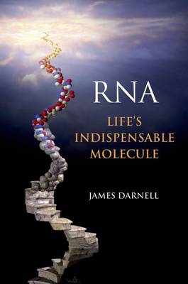 Book cover for RNA