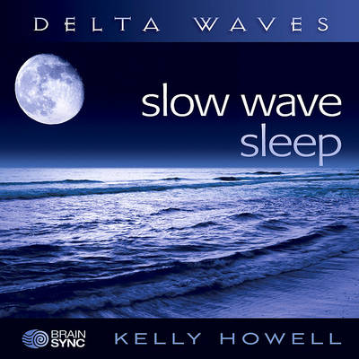 Book cover for Slow Wave Sleep