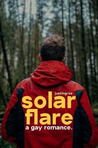 Cover of Solar Flare