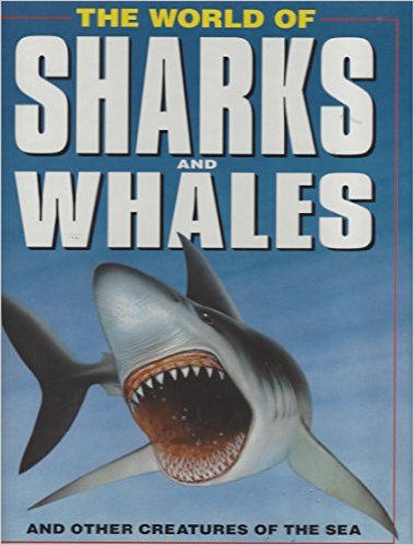 Book cover for World of Sharks and Whales