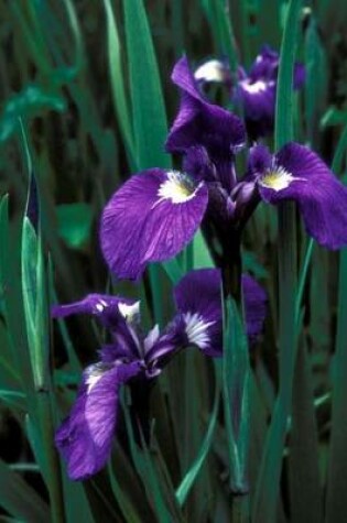 Cover of Purple Iris Flowers (for the Love of Gardening)