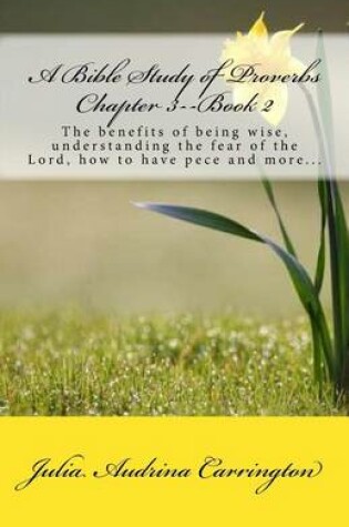 Cover of A Bible Study of Proverbs Chapter 3--Book 2