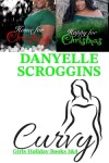 Book cover for Curvy Girl Holiday Books 3 & 4