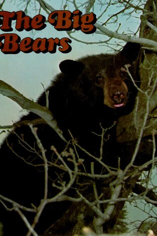 Cover of The Big Bears
