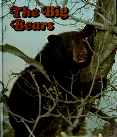 Book cover for The Big Bears