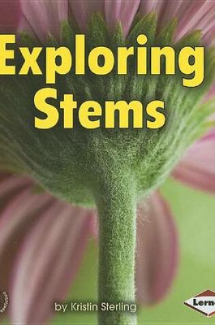 Cover of Exploring Stems