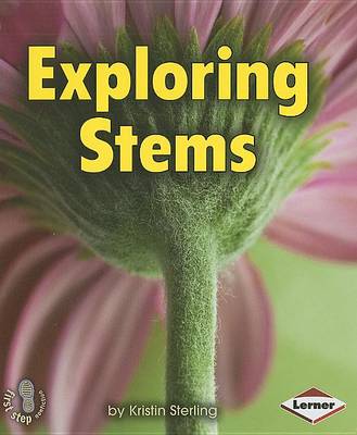 Book cover for Exploring Stems