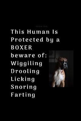 Book cover for This Human Is Protected by a BOXER beware of