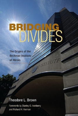 Book cover for Bridging Divides